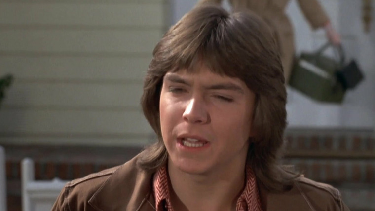 The Partridge Family — s01e21 — Partridge Up a Pair Tree