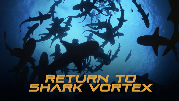Shark Week — s2021e20 — Return to Shark Vortex