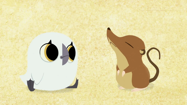 Puffin Rock — s01e33 — Baba's Picnic