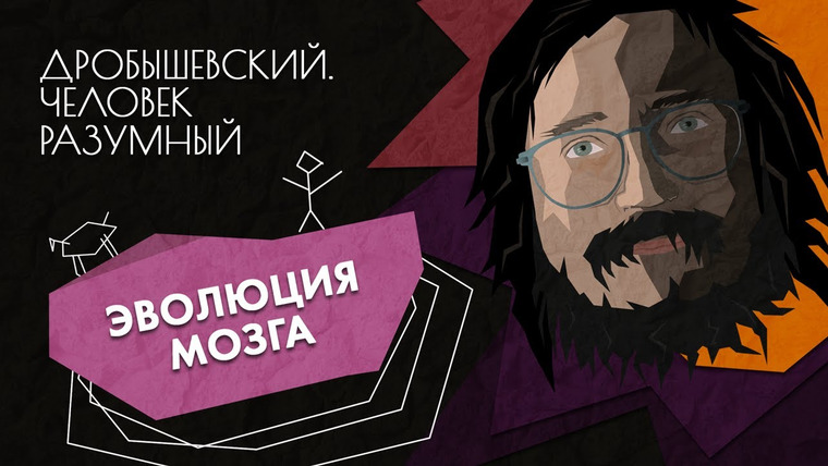 Дробышевский. Человек разумный — s01e19 — Эволюция мозга // Дробышевский. Человек разумный