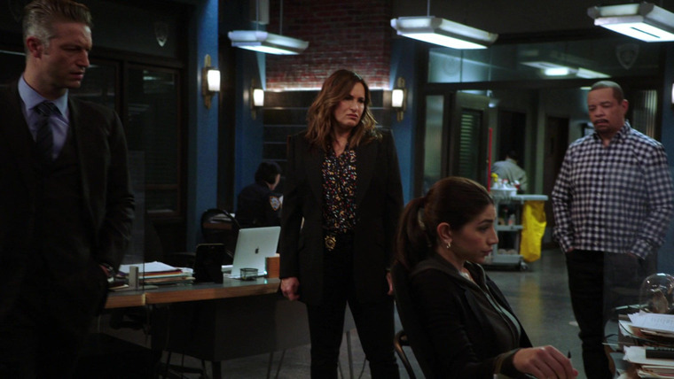Law & Order: Special Victims Unit — s22e06 — The Long Arm of the Witness