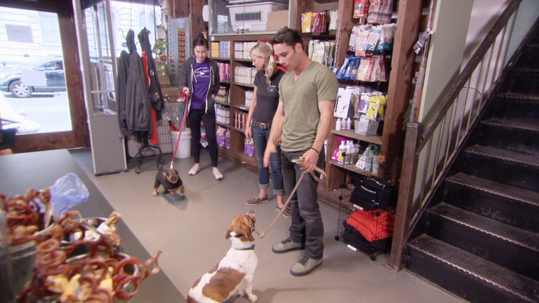 Dogs in the City — s01e06 — You Can Teach Old Dogs New Tricks