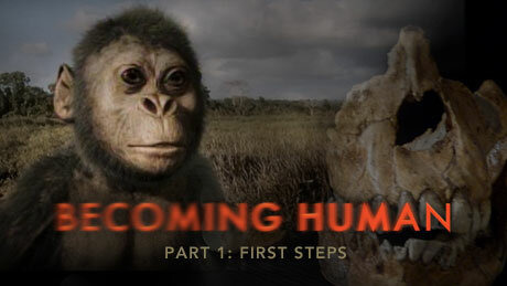 NOVA — s37e04 — Becoming Human Part 1: First Steps