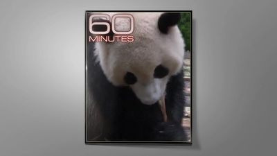 60 Minutes — s52e05 — Joe Biden | The Emerald Triangle | Giant Panda