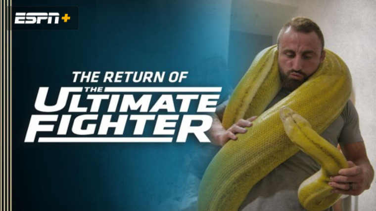 The Ultimate Fighter — s29e11 — Snake Bitten