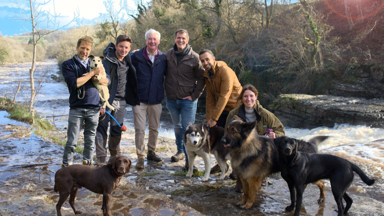 The Yorkshire Vet — s19e01 — Episode 1