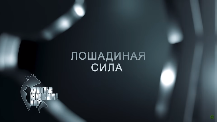Животные, изменившие мир — s01e09 — Лошадиная сила