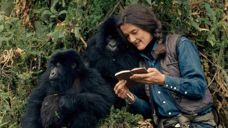 Dian Fossey: Secrets in the Mist — s01e01 — Gorilla Girl