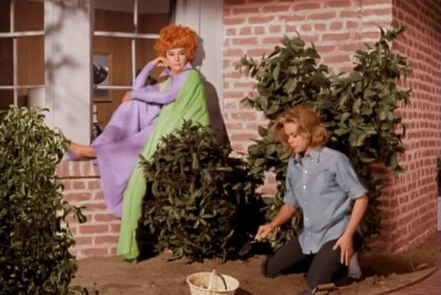 Bewitched — s01e04 — Mother Meet's What's His Name
