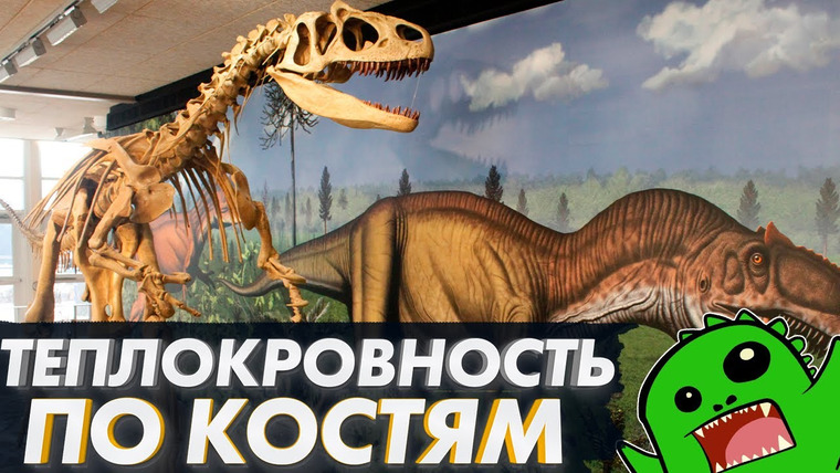 Упоротый Палеонтолог — s03e27 — Как обнаружить ТЕПЛОКРОВНОСТЬ по костям? Теплокровность и динозавры [ФИЗИОЛОГИЯ ДИНОЗАВРОВ]
