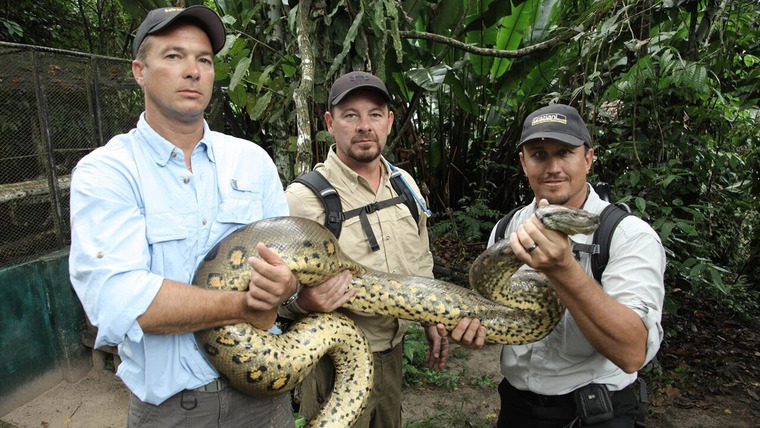 Python Hunters — s03e04 — Amazon Anaconda