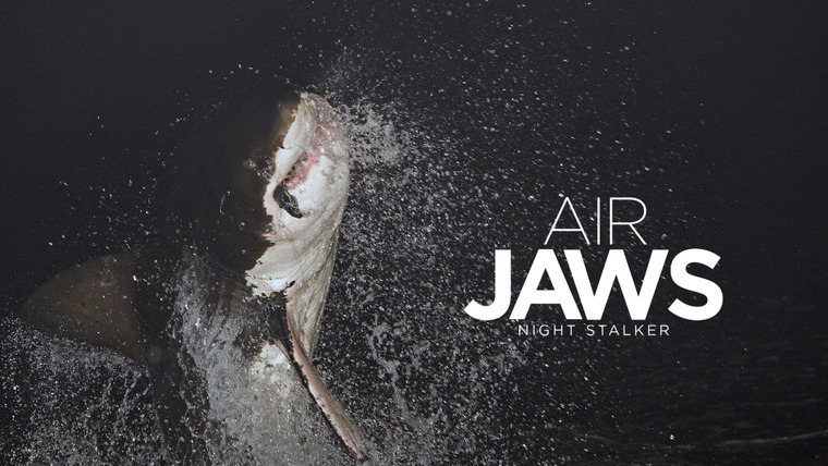 Shark Week — s2016e08 — Air Jaws: Night Stalker