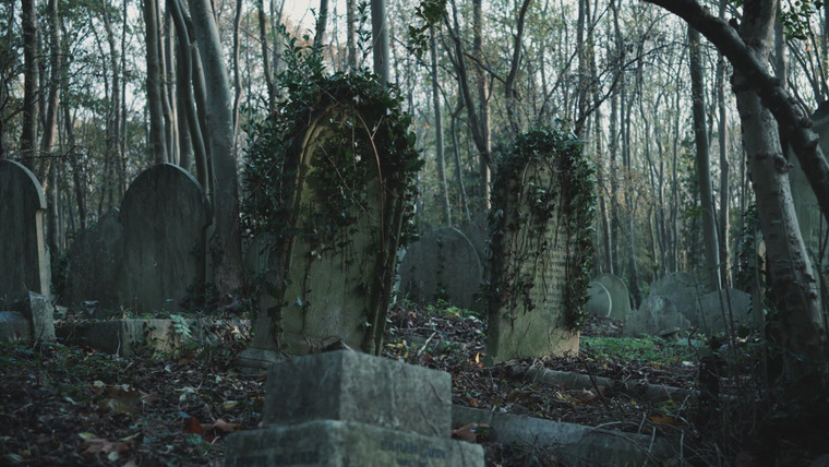 Необъяснимое — s07e12 — Mysterious Urban Legends