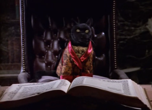 Sabrina, the Teenage Witch — s03e06 — Good Will Haunting