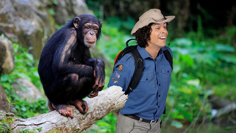 Andy's Wild Adventures — s02e06 — Chimpanzees