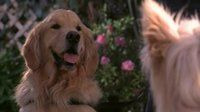 7th Heaven — s07e16 — Stand Up