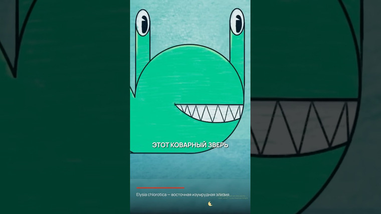 Александр Панчин — s10e77 — Он ворует у водорослей — и живёт за их счёт!