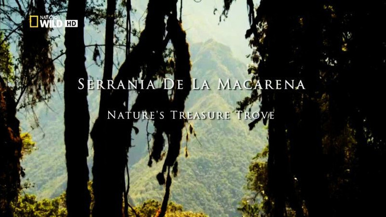 Destination Wild: Colombia — s01e02 — Serrania De La Macarena: Nature's Treasure Trove