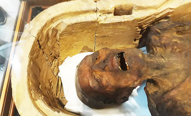 Mummy Mysteries — s01e03 — The Screaming Mummy Conspiracy