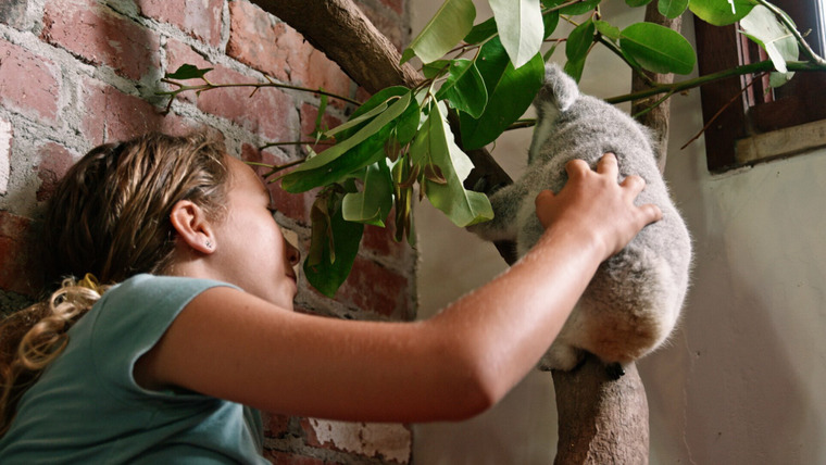 Иззи и коалы — s02e03 — Chompy Learns to Climb