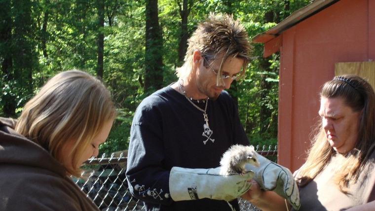 Billy the Exterminator — s01e06 — Possums in the Wall