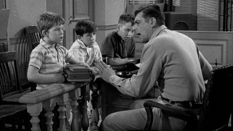 The Andy Griffith Show — s03e23 — Andy Discovers America