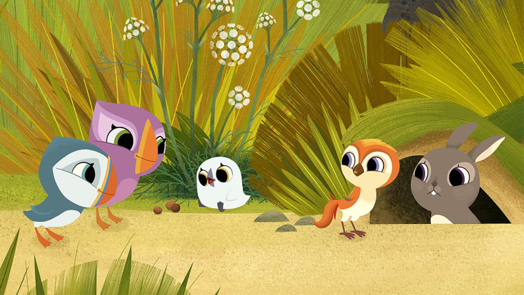Puffin Rock — s03e16 — On the Scent