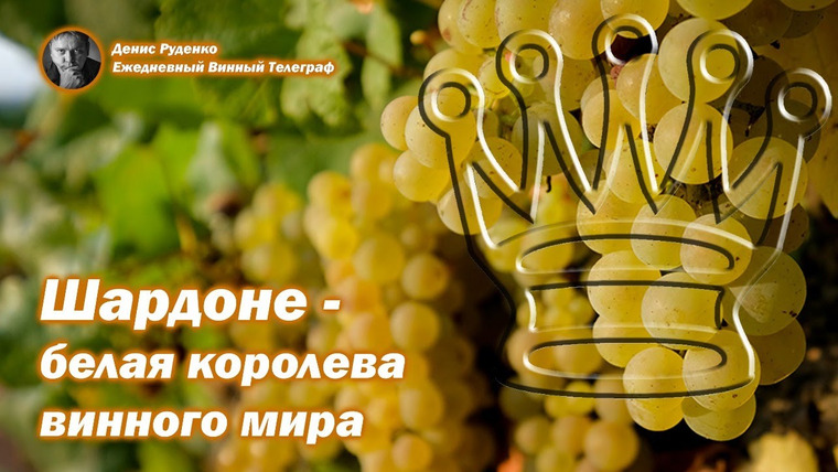 Денис Руденко — s04e21 — Шардоне — белая королева винного мира