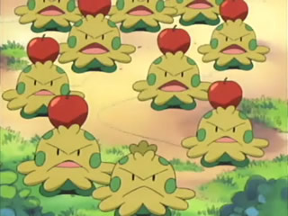Pokémon the Series — s07e42 — A Shroomish Skirmish