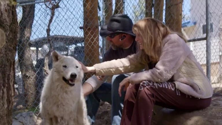 Wolves and Warriors — s01e01 — Welcome to the Wolf Sanctuary