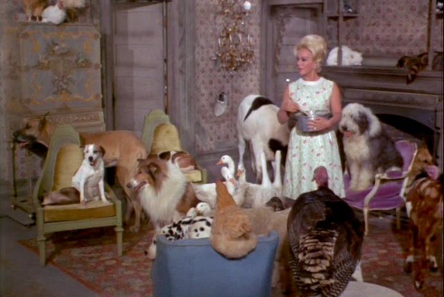 Green Acres — s02e19 — It's Human to Be Humane