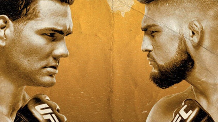 UFC Fight Night — s2017e14 — UFC on Fox 25: Weidman vs. Gastelum