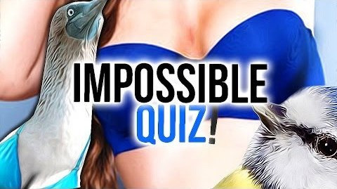 PewDiePie — s04e542 — WHERE TO FIND BLUE BOOBS? - Impossible Quiz 2 - Part 2