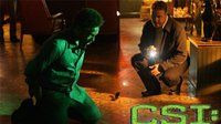 CSI: Crime Scene Investigation — s08e17 — For Gedda