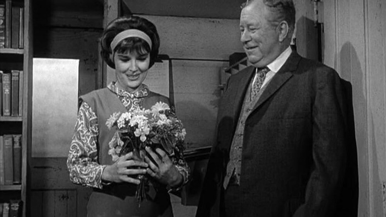 Petticoat Junction — s02e03 — Have Library, Will Travel
