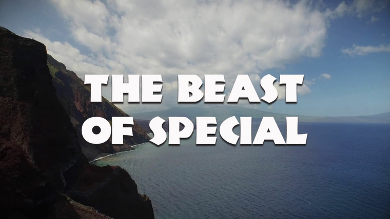 Ежедневное шоу — s2019 special-6 — The Beast of Special