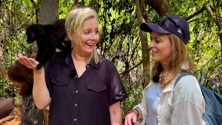 Null stjerner — s02e07 — Madagaskar – En form for null stjerners tivoli, vil jeg si