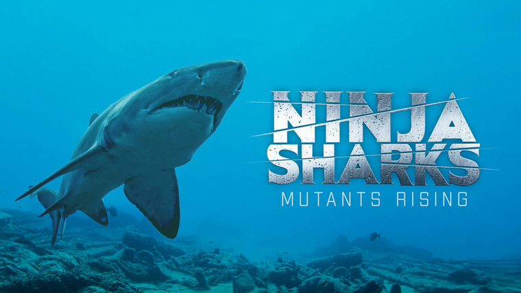 Shark Week — s2021e16 — Ninja Sharks: Mutants Rising