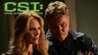 CSI: Crime Scene Investigation — s08e06 — Who & What