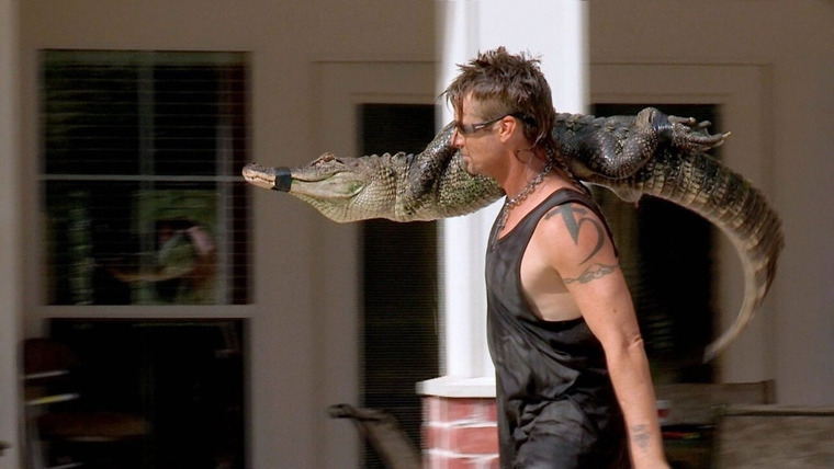 Billy the Exterminator — s06e15 — Gator Pool Party