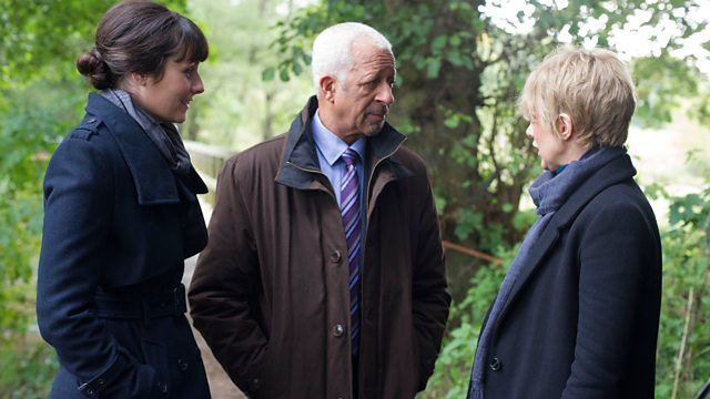 Безмолвный свидетель — s19e09 — River's Edge, Part One