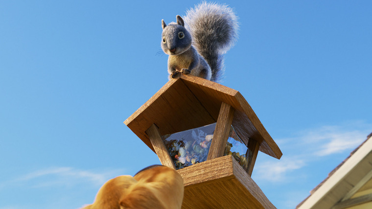 Будни Дага — s01e01 — Squirrel!