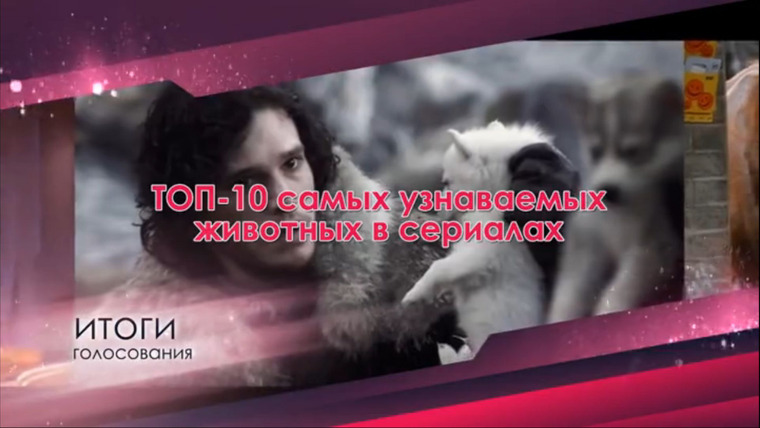 ТОП-10 по версии Seasonvar.ru — s01e09 — ТОП-10 самых узнаваемых животных в сериалах