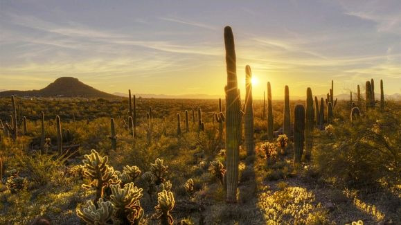 America's National Parks — s01e08 — Saguaro