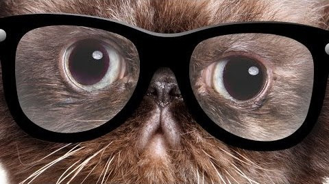 ПьюДиПай — s06e206 — ARE YOU A HIPSTER? (BroKen TLDR #9)