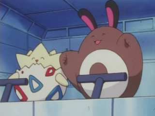 Pocket Monsters — s03e17 — Rampage! Otachi and Togepy!!
