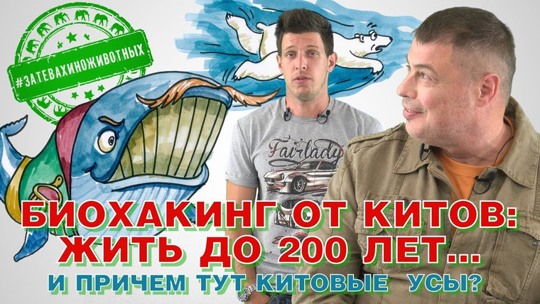 Затевахин О Животных — s01e17 — Долгожители в море: жить до 200 лет… и причем тут китовые усы?