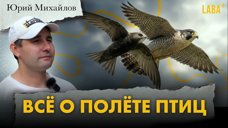 ЛАБА+ — s04e10 — Всё о полёте птиц. Юрий Михайлов
