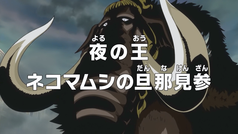 One Piece (JP) — s18e759 — Ruler of Night — Nekomamushi Appears