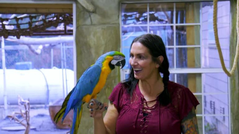 Animal Cribs — s01e07 — Superfly Parrot Palace